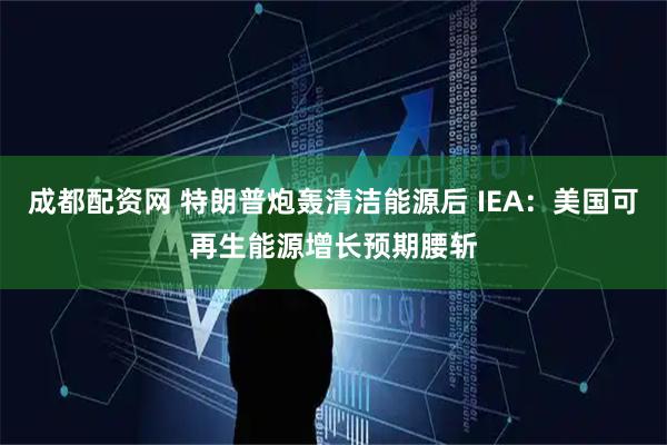 成都配资网 特朗普炮轰清洁能源后 IEA：美国可再生能源增长预期腰斩