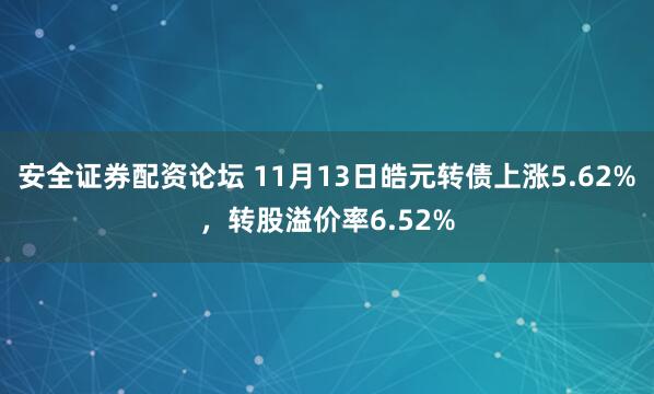 安全证券配资论坛 11月13日皓元转债上涨5.62%，转股溢价率6.52%