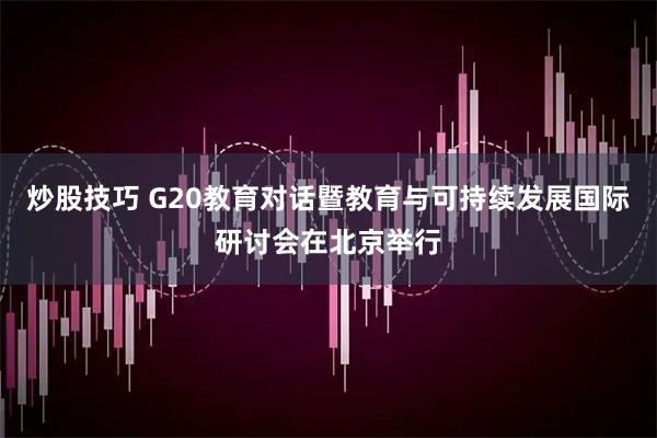 炒股技巧 G20教育对话暨教育与可持续发展国际研讨会在北京举行