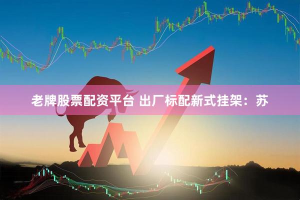 老牌股票配资平台 出厂标配新式挂架：苏